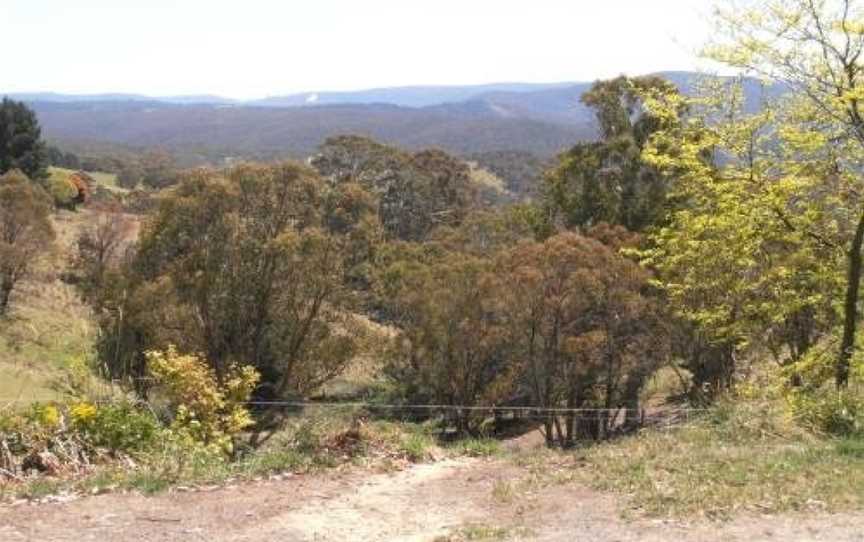 Springmead Rustic Cabin, Rydal, NSW