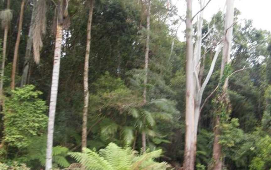 Mount Browne Cottage, Karangi, NSW