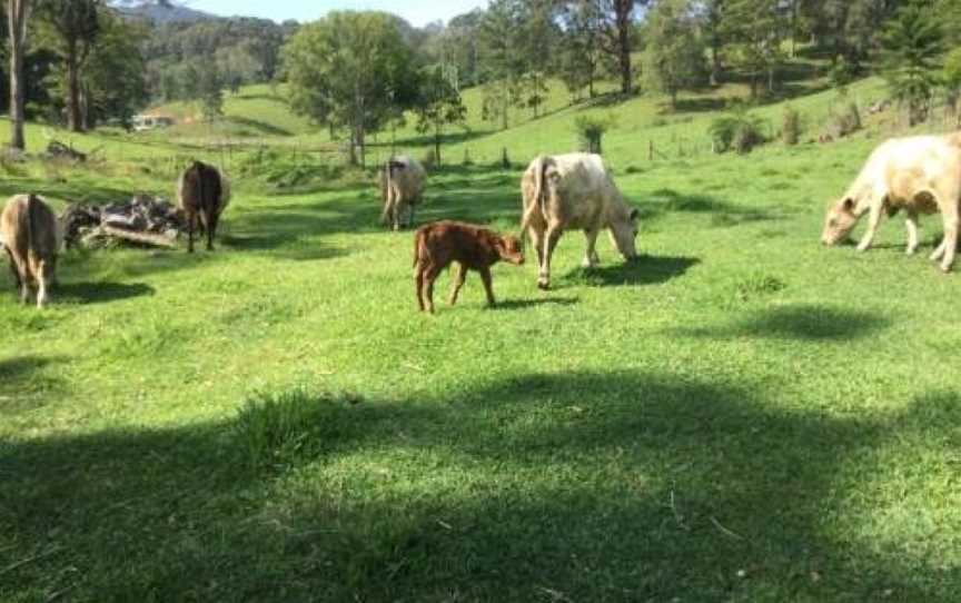 The Croft Bed and Breakfast, Urliup, NSW