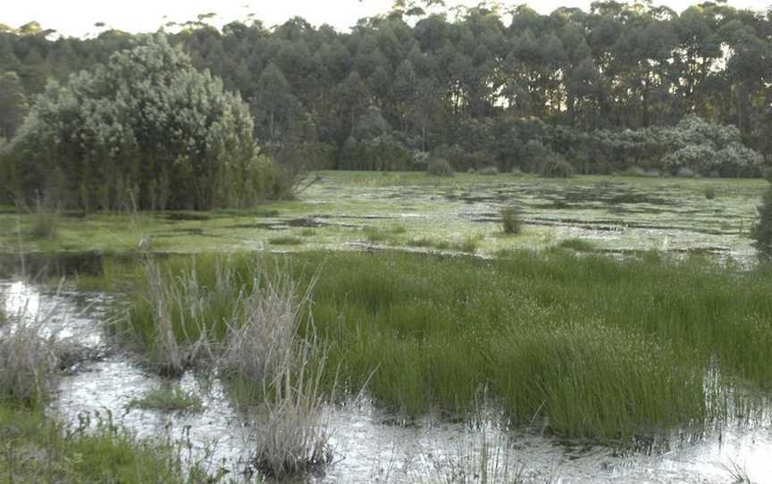 Bewong River Retreat, Bewong, NSW