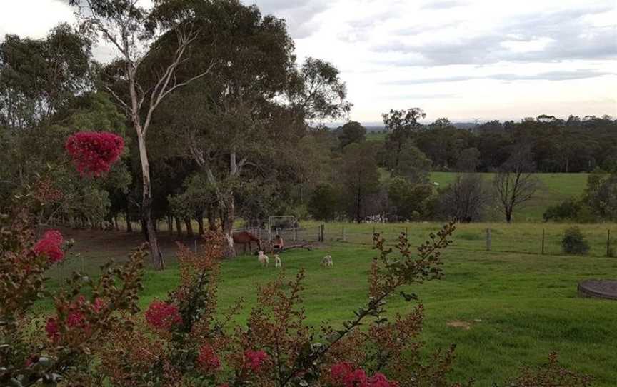 Blueberry Hills On Comleroy, Kurrajong, NSW