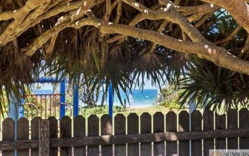 Pandanus on Emerald, Emerald Beach, NSW