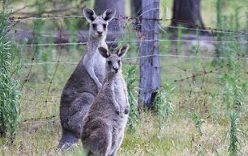 Merimbula Lake Holiday Park, Millingandi, NSW