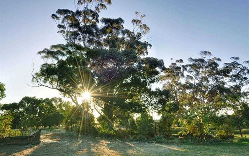 Armadale Farmstay Bed & Breakfast, Haynes, WA