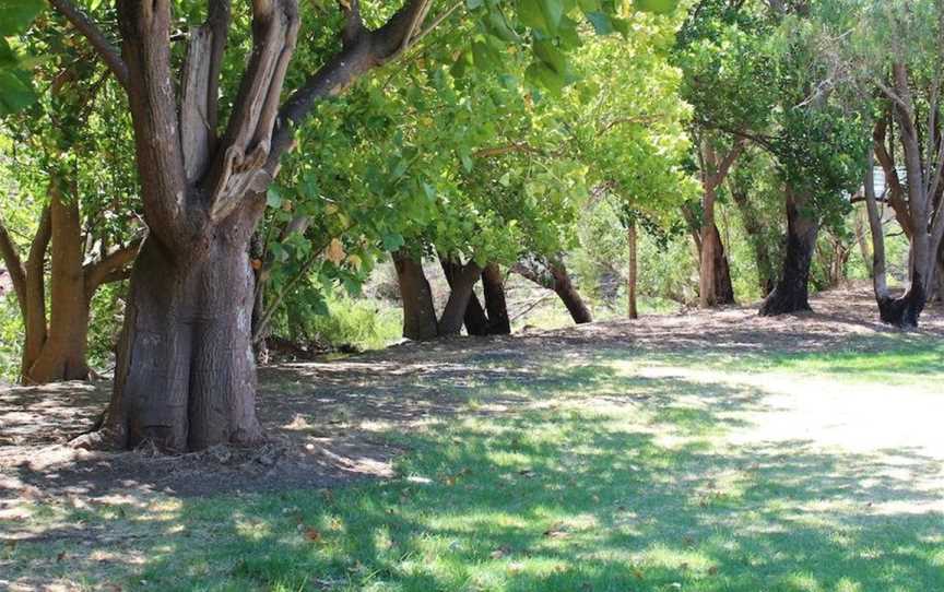 Avocados Accommodation, Kelmscott, WA