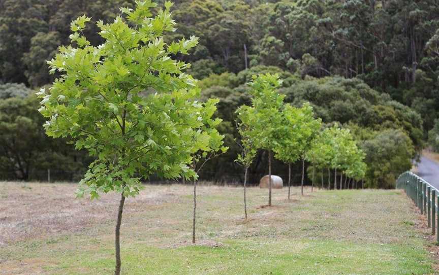 ST ALLARD ECO, Bramley, WA