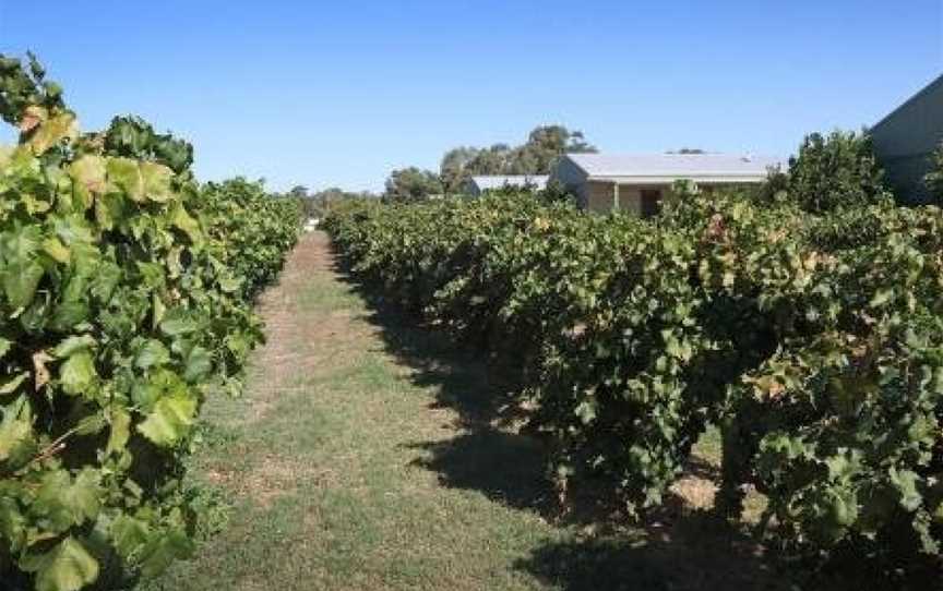 Swan Valley Sisters, Henley Brook, WA