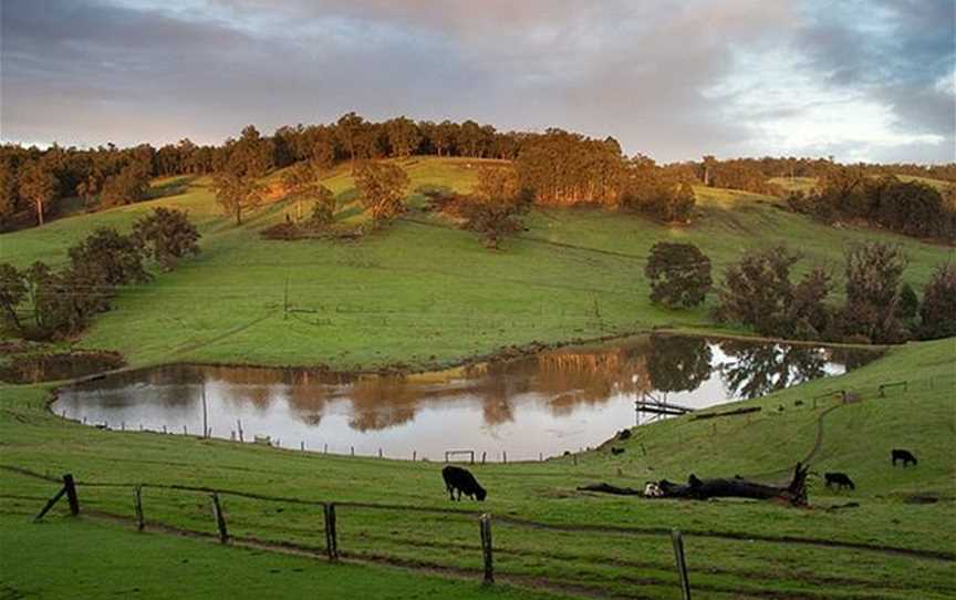 Kirup Cabins, Accommodation in Brazier