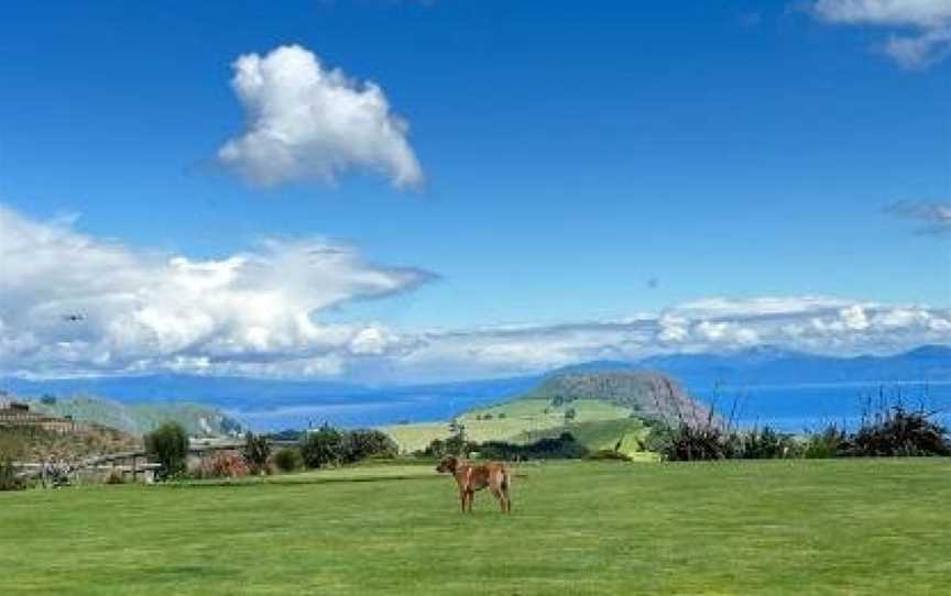 Hilltop Whakaipo Estate, Taupo, New Zealand