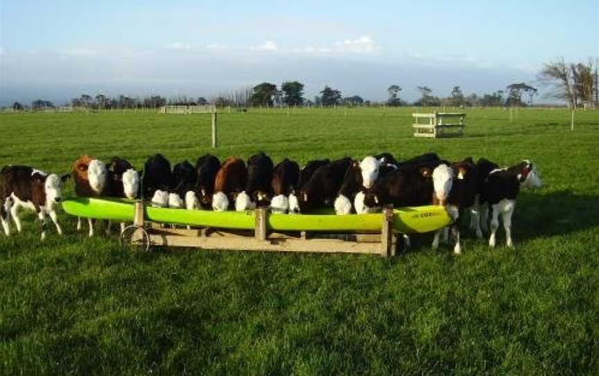 Penhaven Farm Stay, Hokowhitu, New Zealand