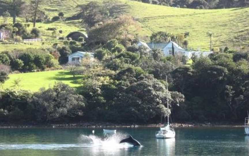 Glenfern Sanctuary, Great Barrier Island, New Zealand