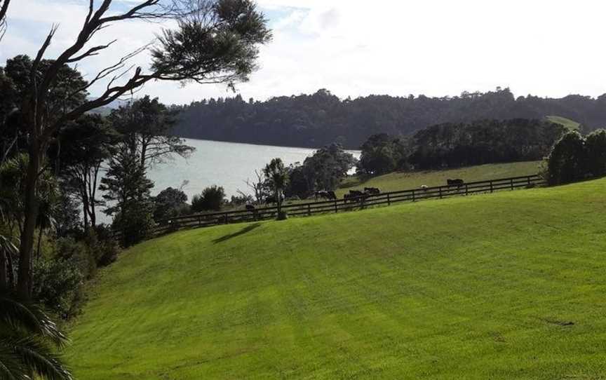 Kingfisher Cabin, Mahurangi West, New Zealand