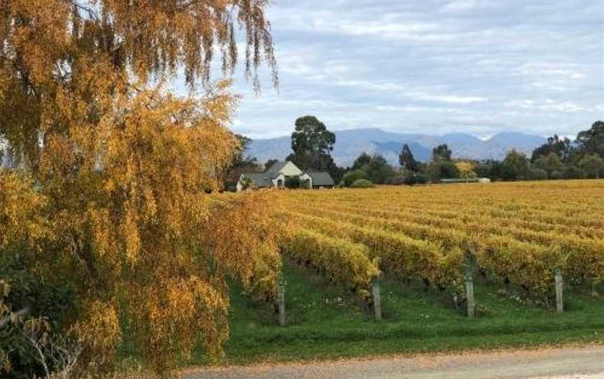 Vineyard Cottage in Blenheim on the Golden Mile, Hawkesbury, New Zealand