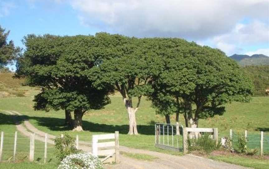 Nga Puriri Bed and Breakfast, Waihau Bay, New Zealand