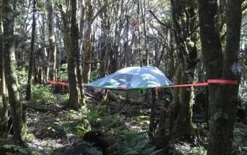 Pupu Rangi Nature Sanctuary - Conservation Area, Tutamoe, New Zealand