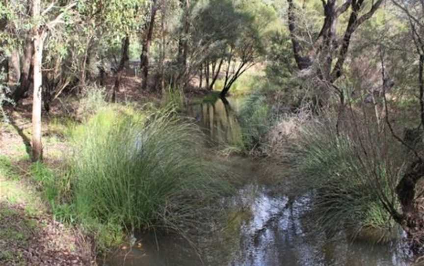 Beautiful Gooralong Brook