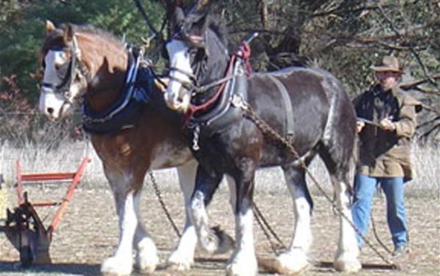 Avondale Discovery Farm