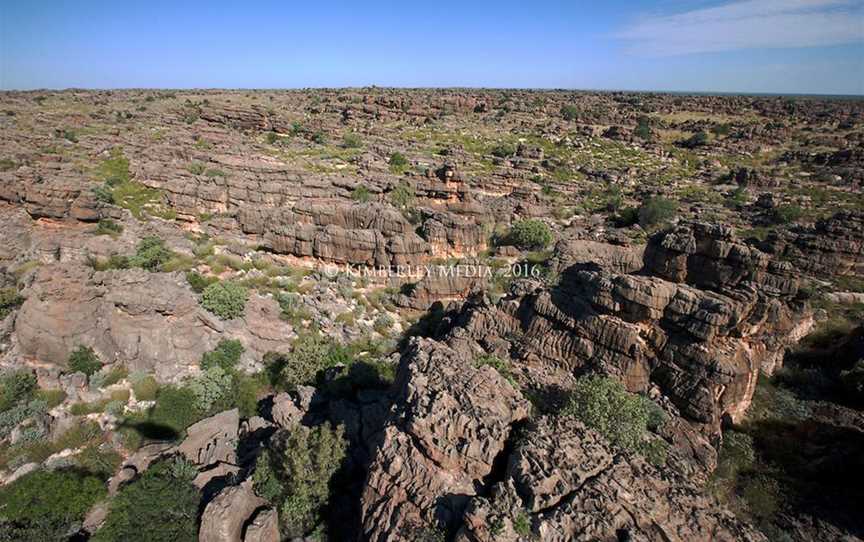 Devonian Reef, Attractions in Fitzroy Crossing