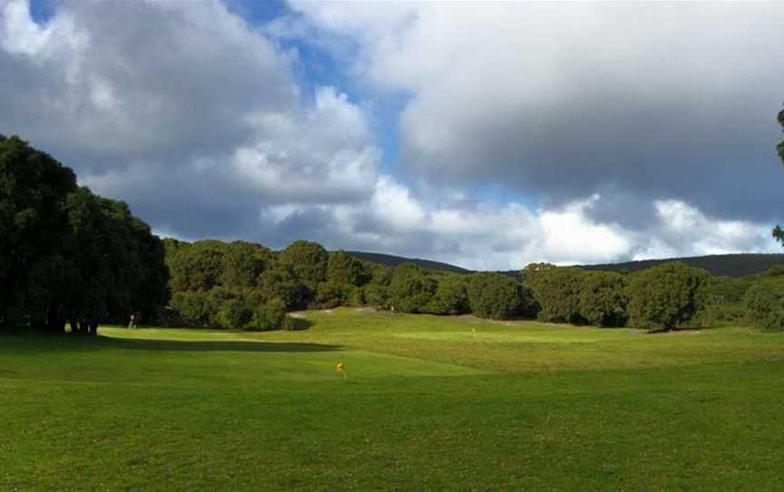 Grove Park, Albany, Attractions in Albany