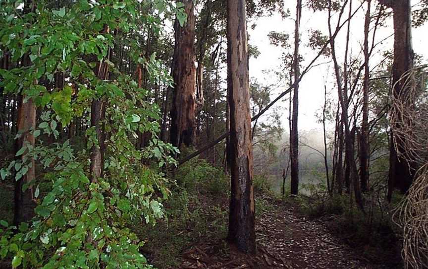 Quinninup Forest Walks, Tourist attractions in Quinninup