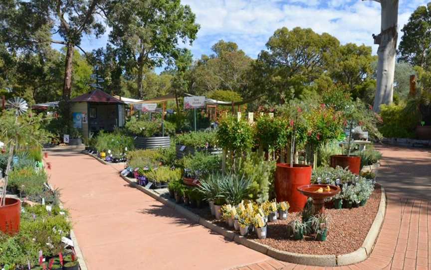 Zanthorrea Nursery, Attractions in Maida Vale