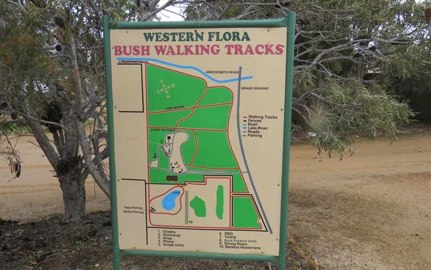 Western Flora Caravan Park - Wildflower Tours, Attractions in Arrowsmith