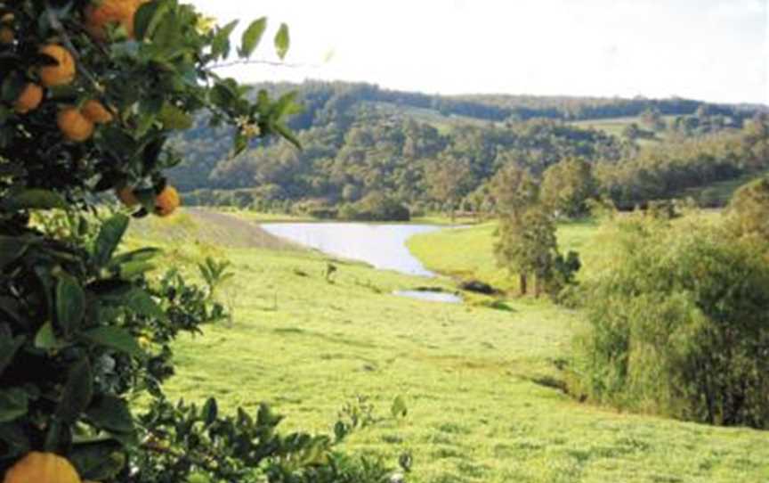 Ferguson Valley