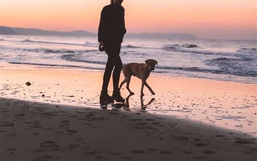 Shoalwater Dog Beach, Attractions in Shoalwater