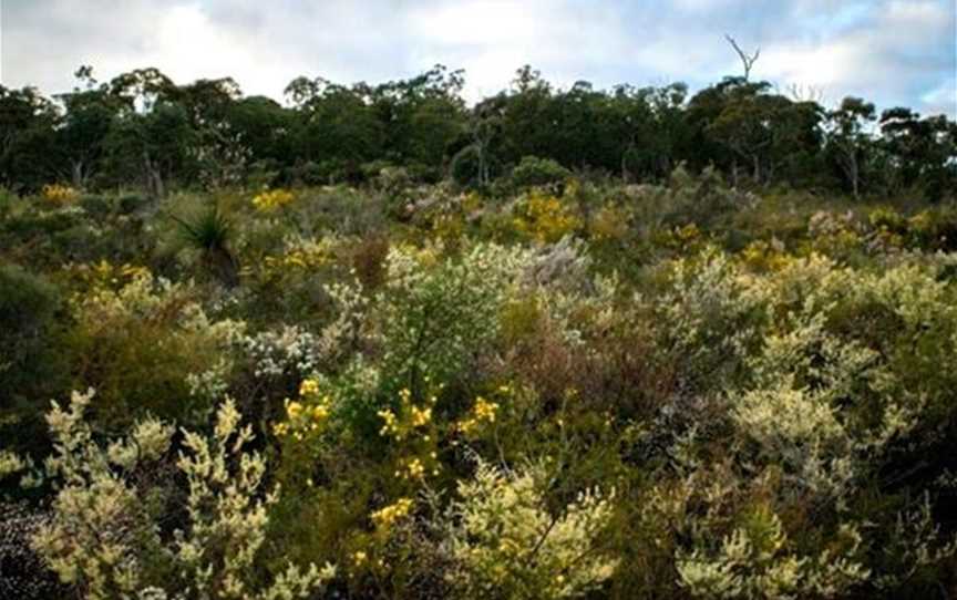 Lions Lookout Walking Trail, Attractions in Lesmurdie