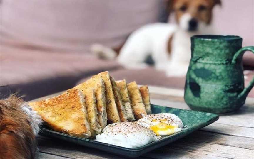 Otis and Lola looking at lunch on Happs Pottery