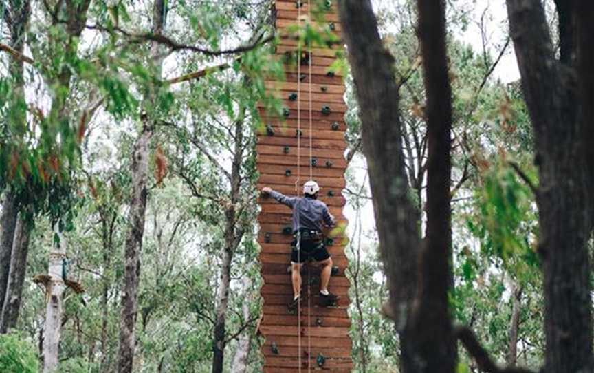 Forest Adventures South West, Attractions in Busselton