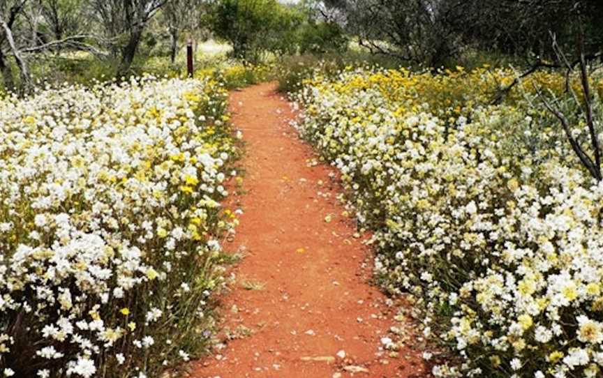 Mullewa Wildflower Walk, Attractions in Mullewa