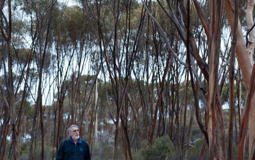 Boorabbin National Park