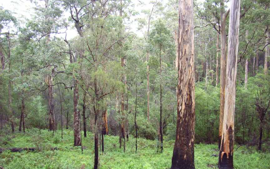 Boorara - Gardner National Park