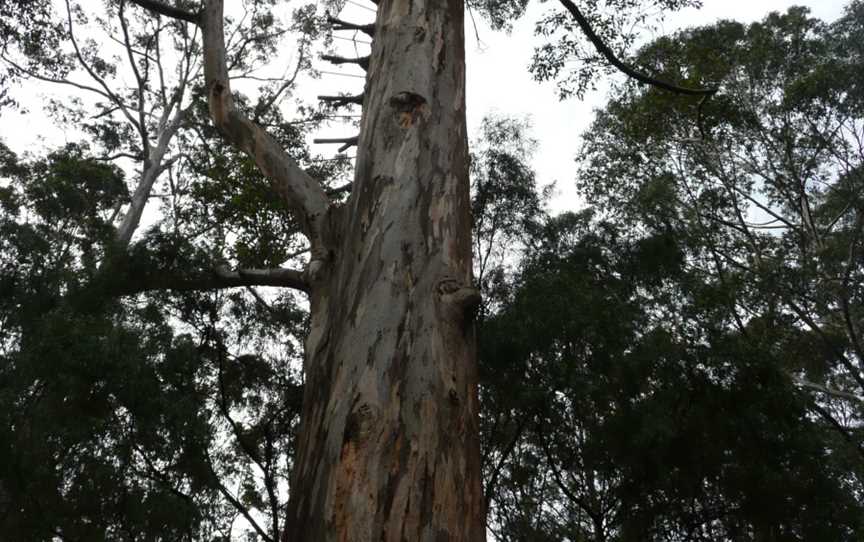 Boorara - Gardner National Park