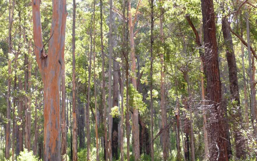 Brockman National Park