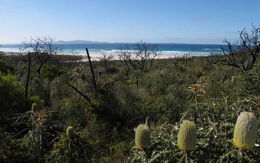 Cape Arid National Park