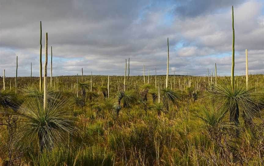 Easter National Park