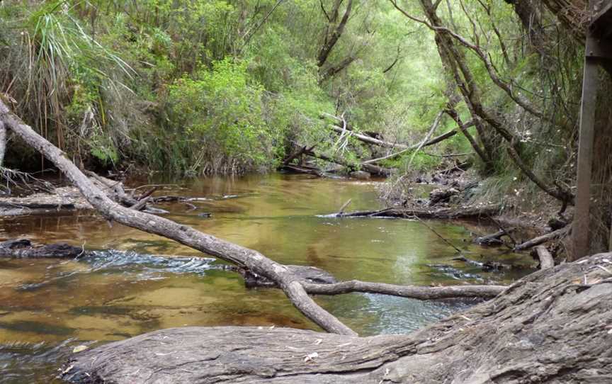 Hawke National Park