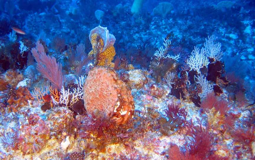 Jurien Bay Marine Park