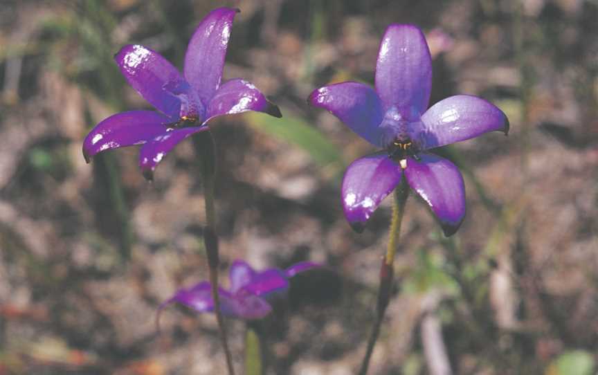 Kalamunda National Park