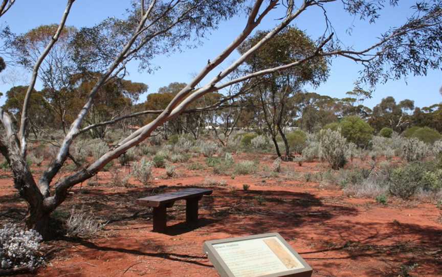 Kalgoorlie Arboretum