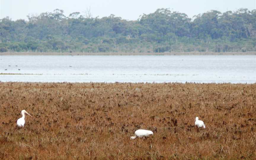 Lake Muir National Park