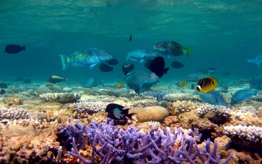 Mermaid Reef Marine Park