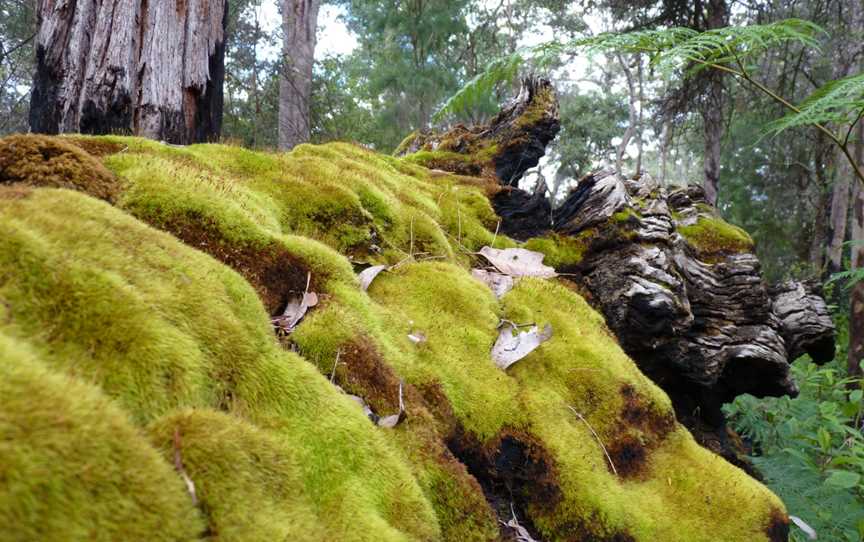 Mount Frankland South National Park