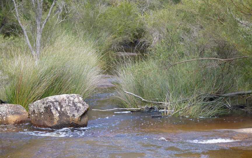 Mount Lindesay National Park