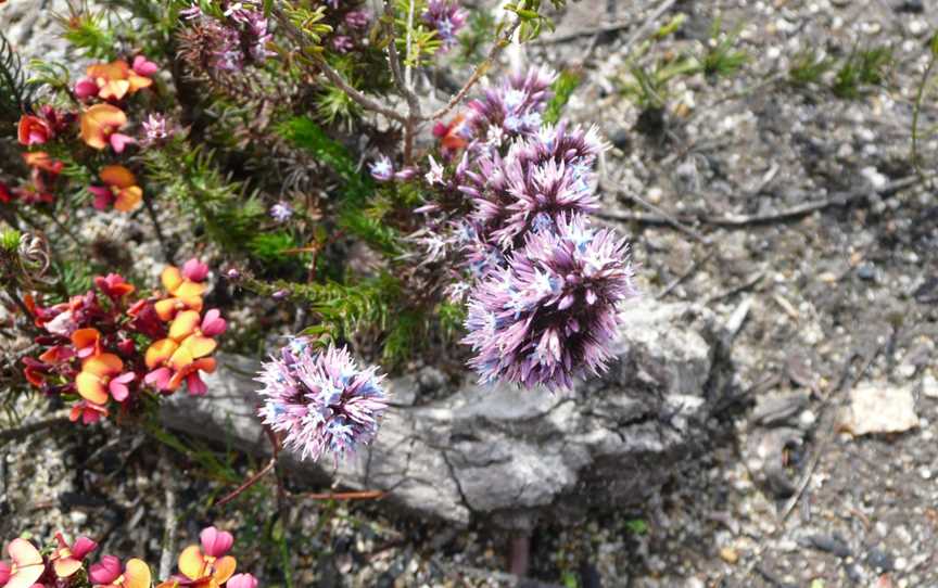 Mount Lindesay National Park