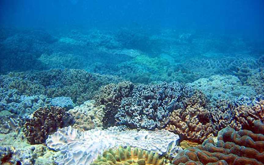 Muiron Islands Marine Management Area