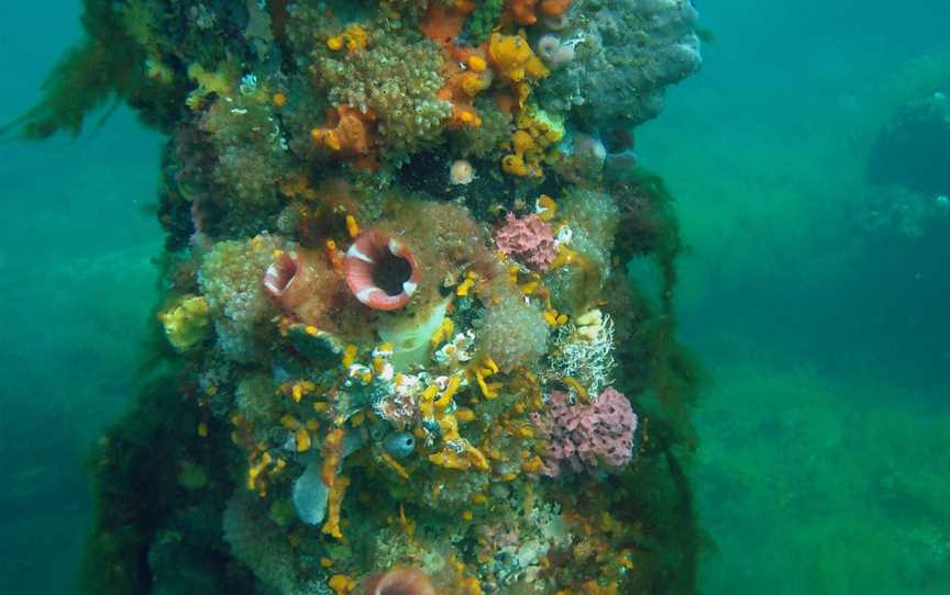 Ngari Capes Marine Park