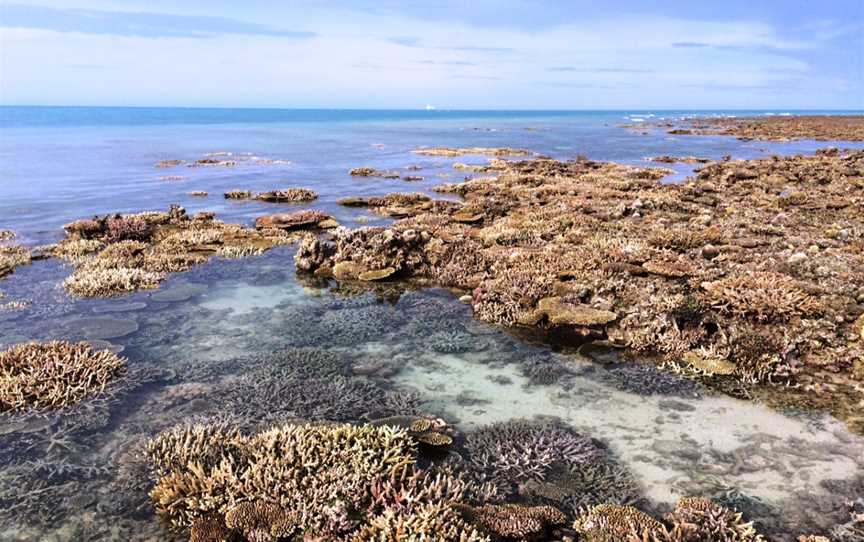 North Kimberley Marine Park